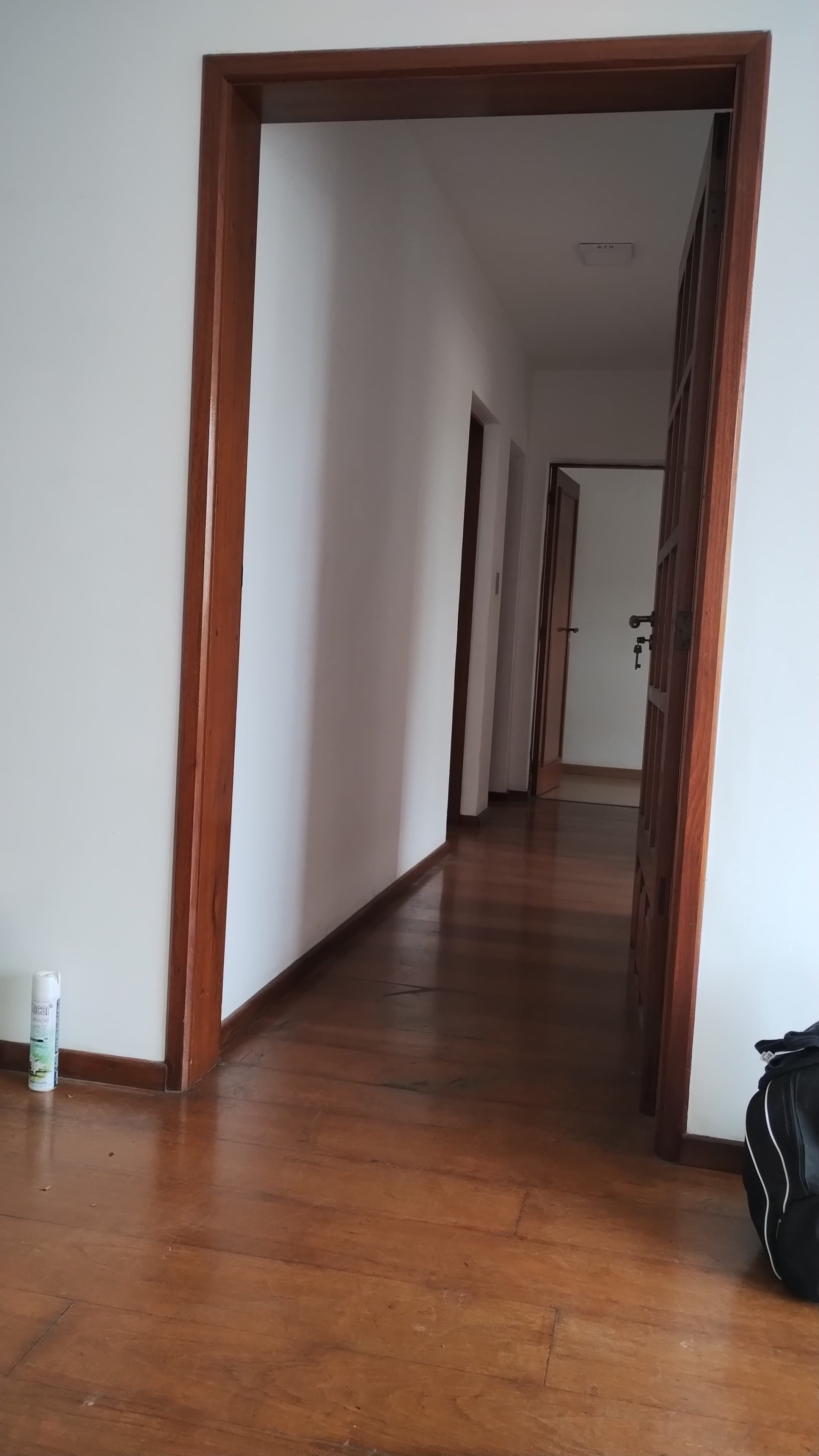 Pintura interna 🎨🖌️ — foto 4
