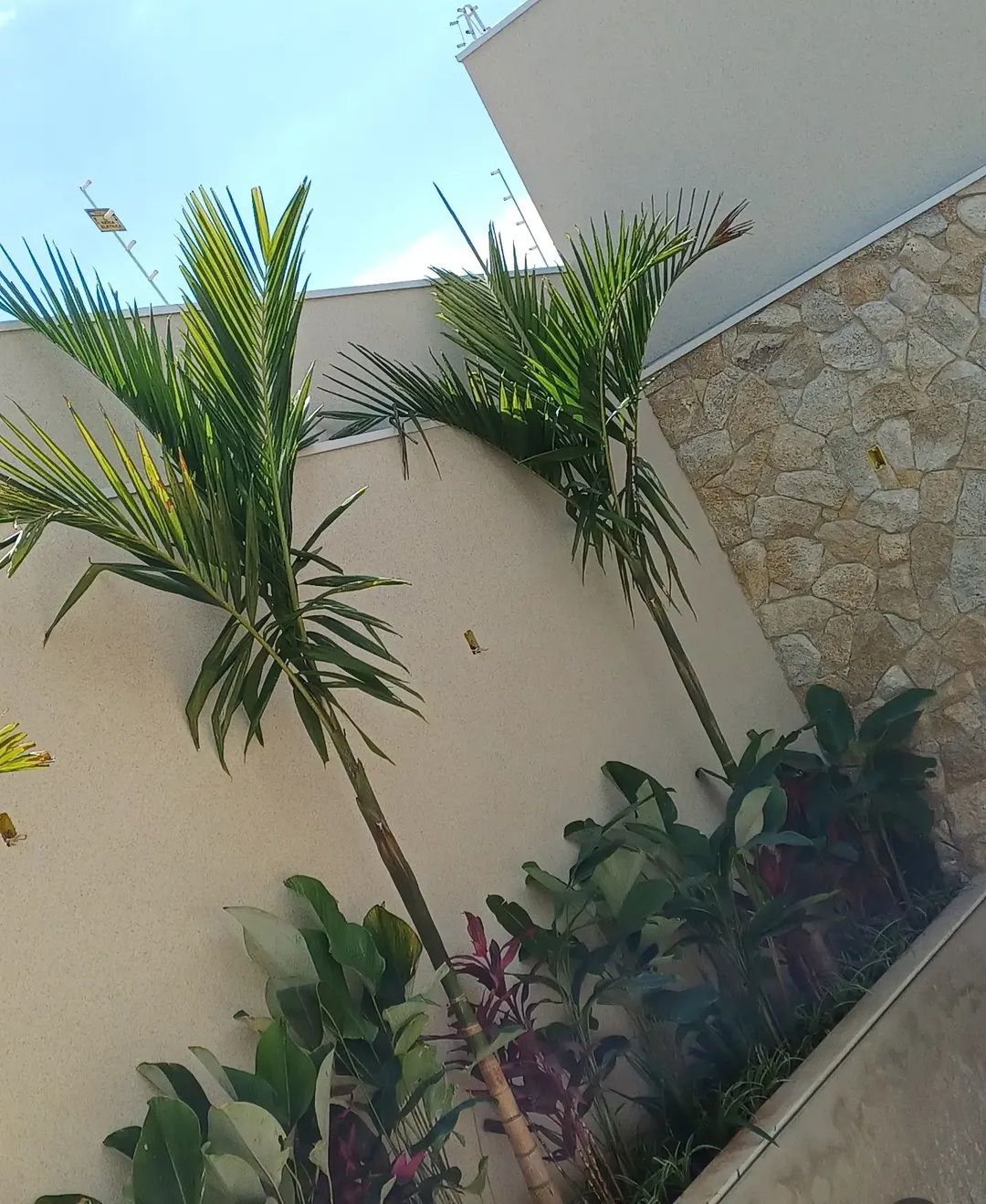 Obra executada do reboco cru ao acabamento fino — foto 6