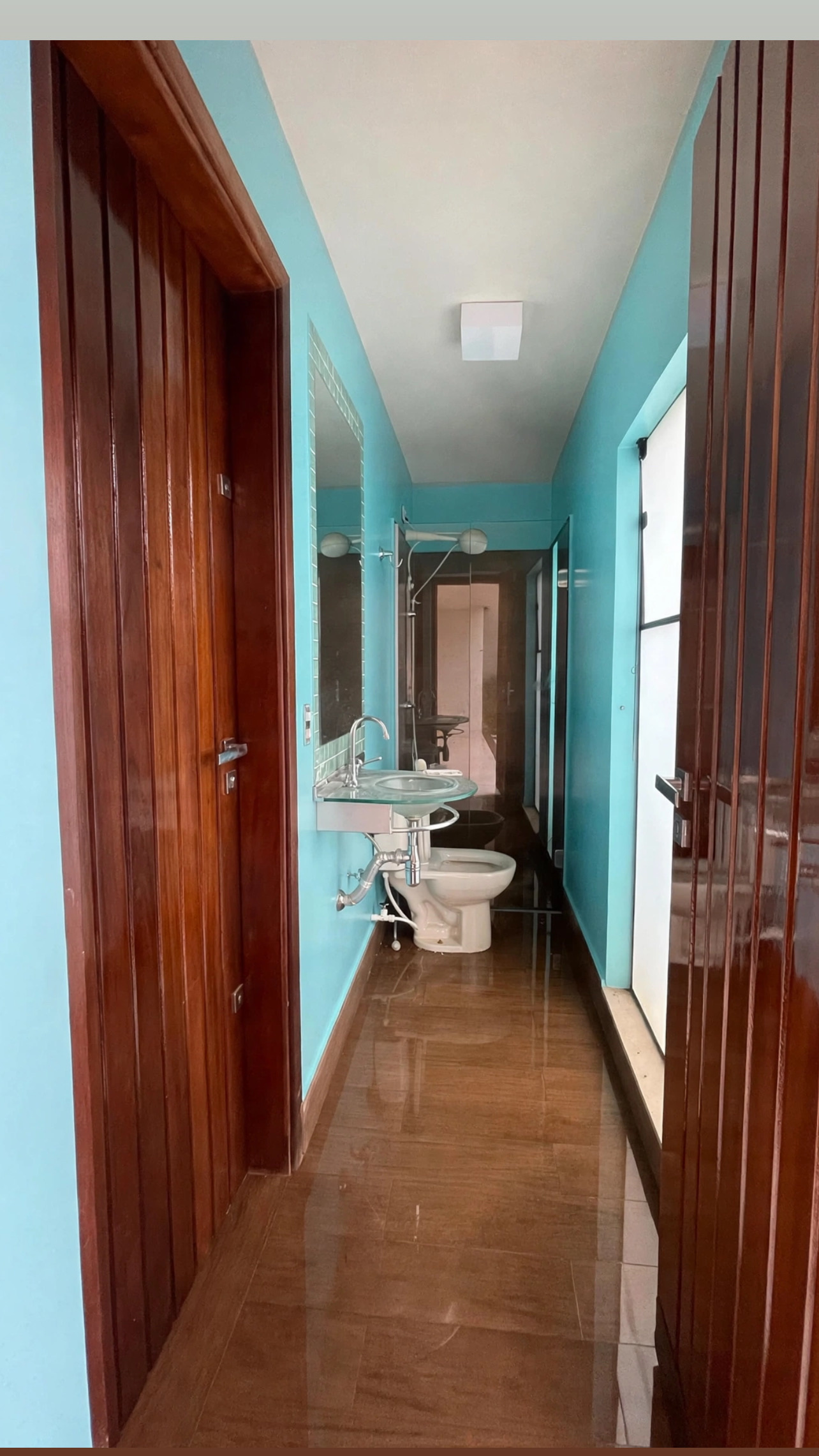 Pintura , Limpeza — foto 1