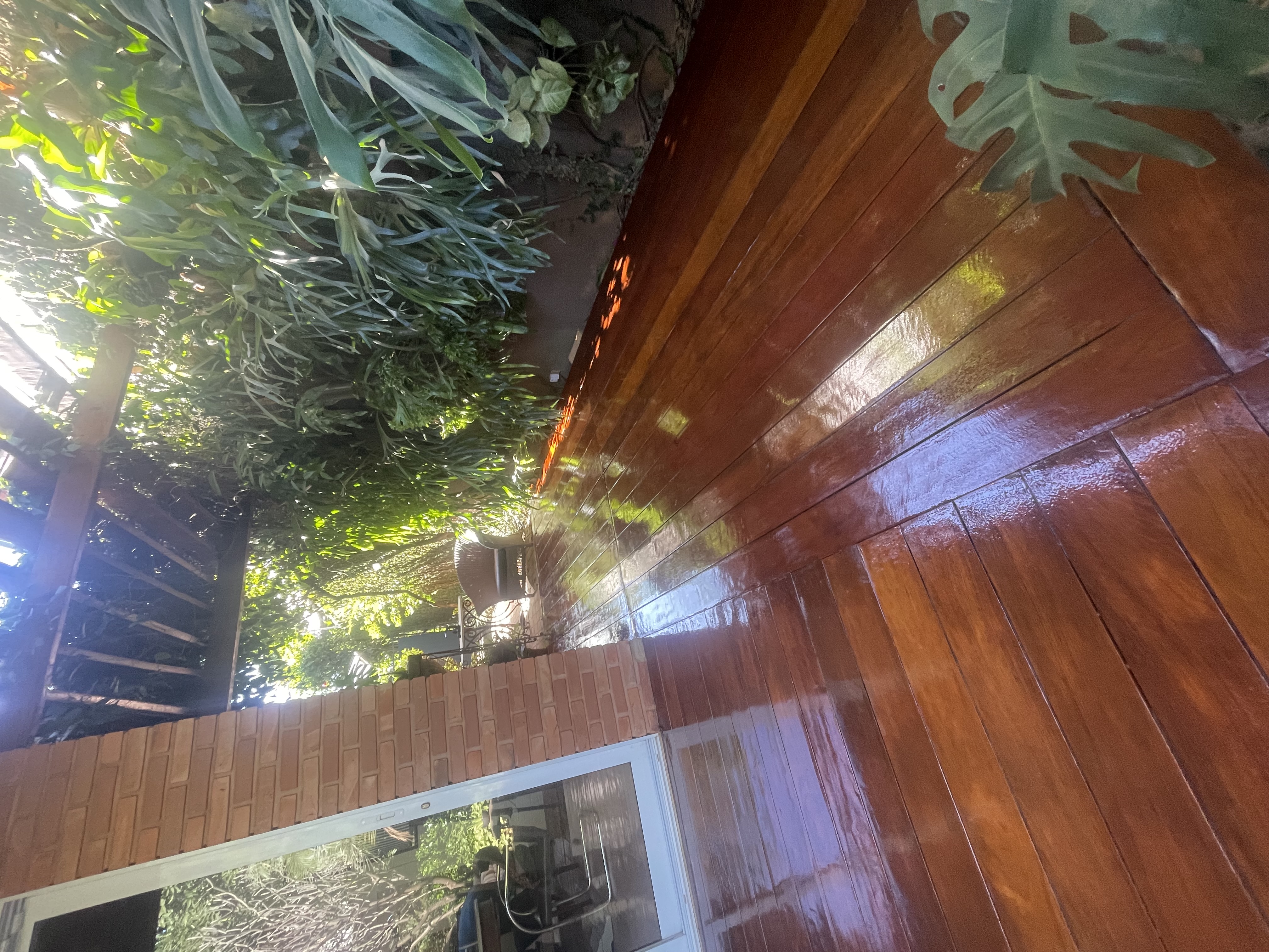 Verniz — foto 1
