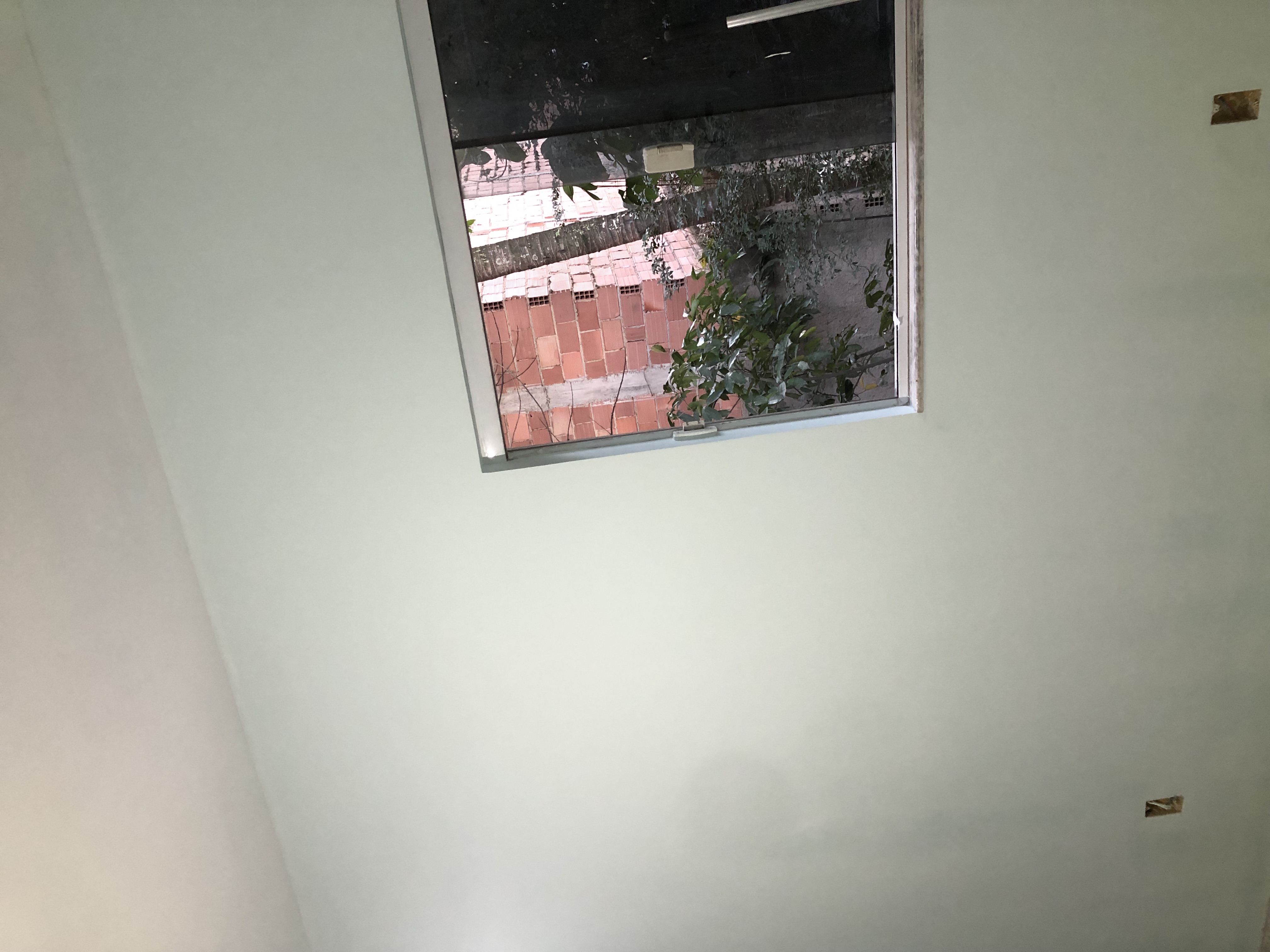 Pintura — foto 7