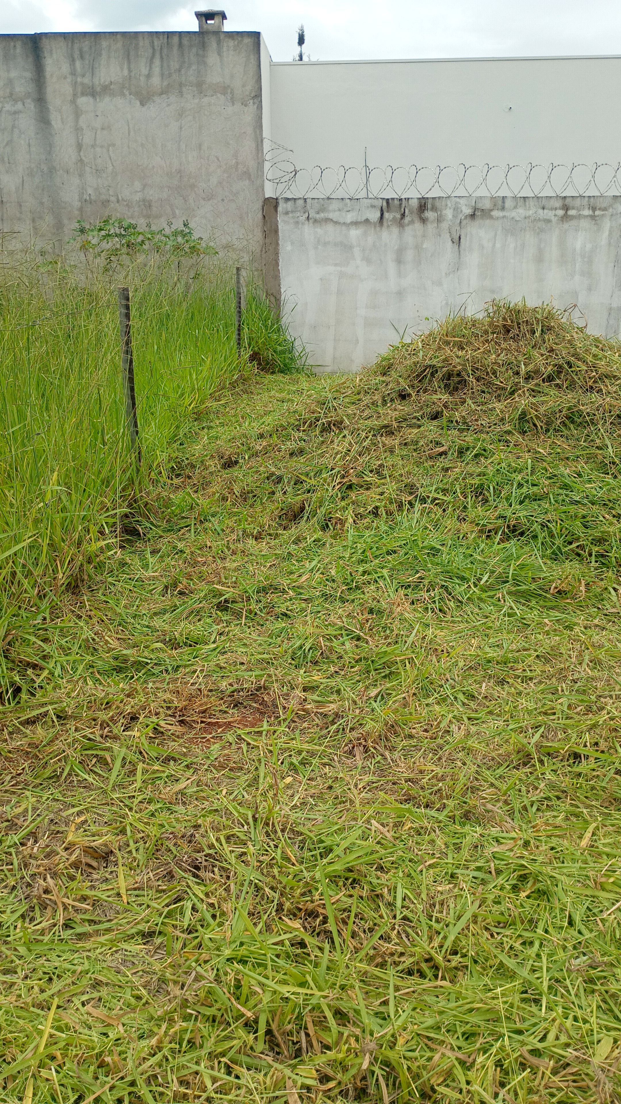 Limpeza de chácara — foto 2
