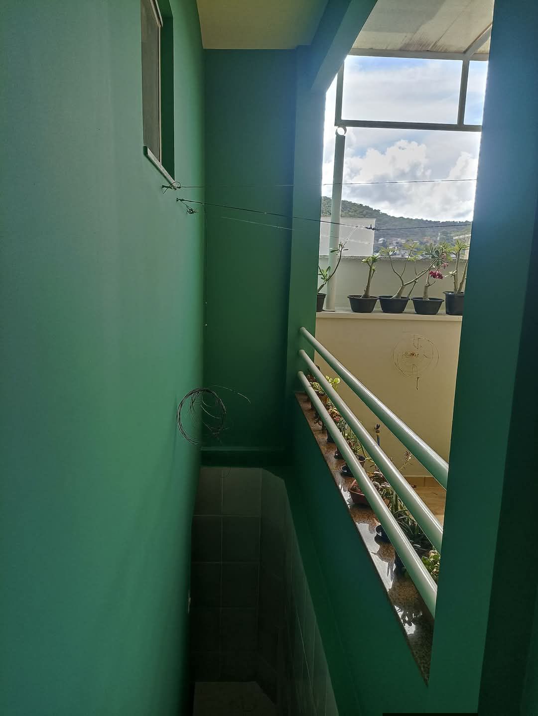 Rafael pinturas — foto 7