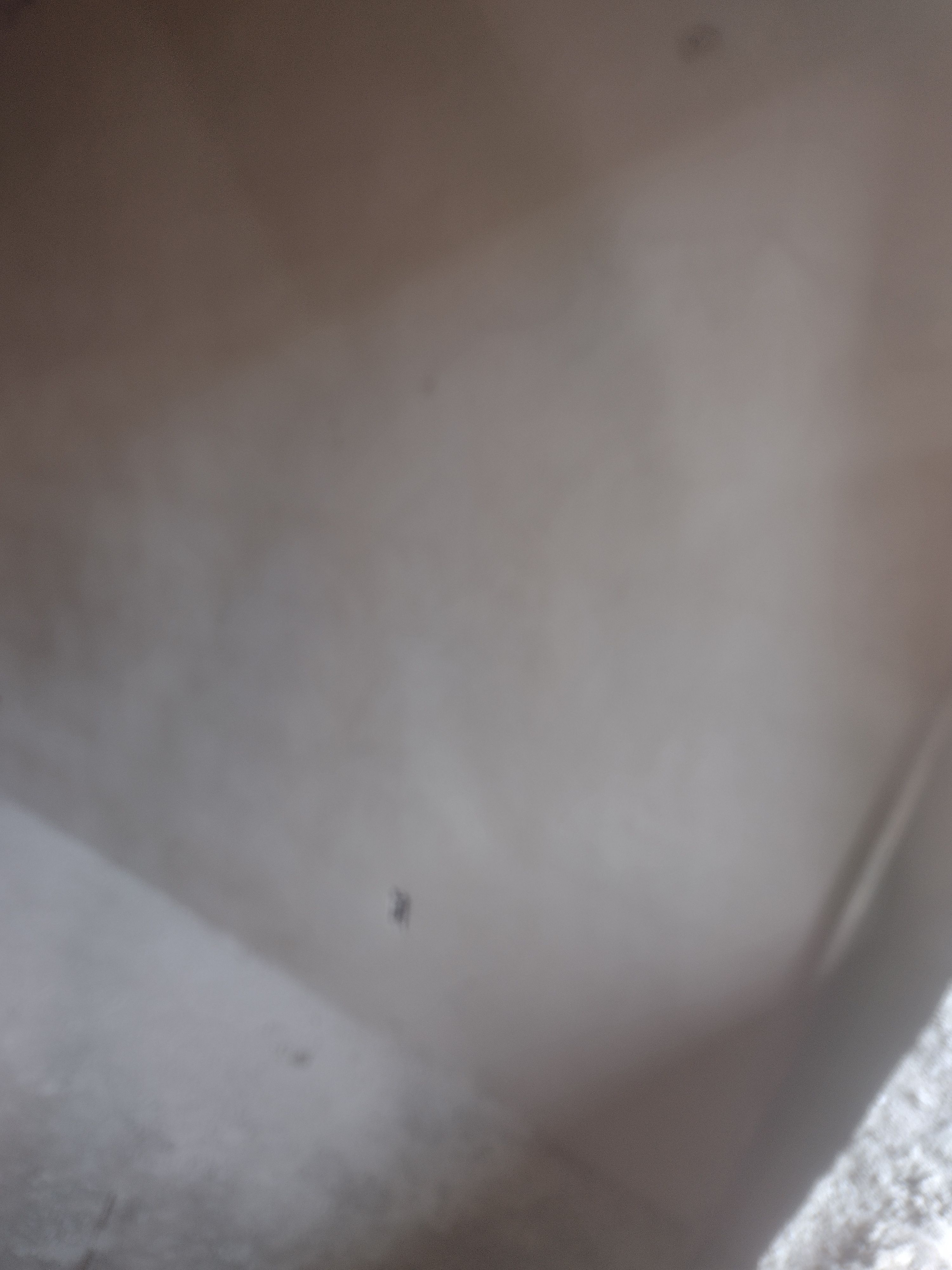 Embolsar desempenado pra por pisso — foto 1