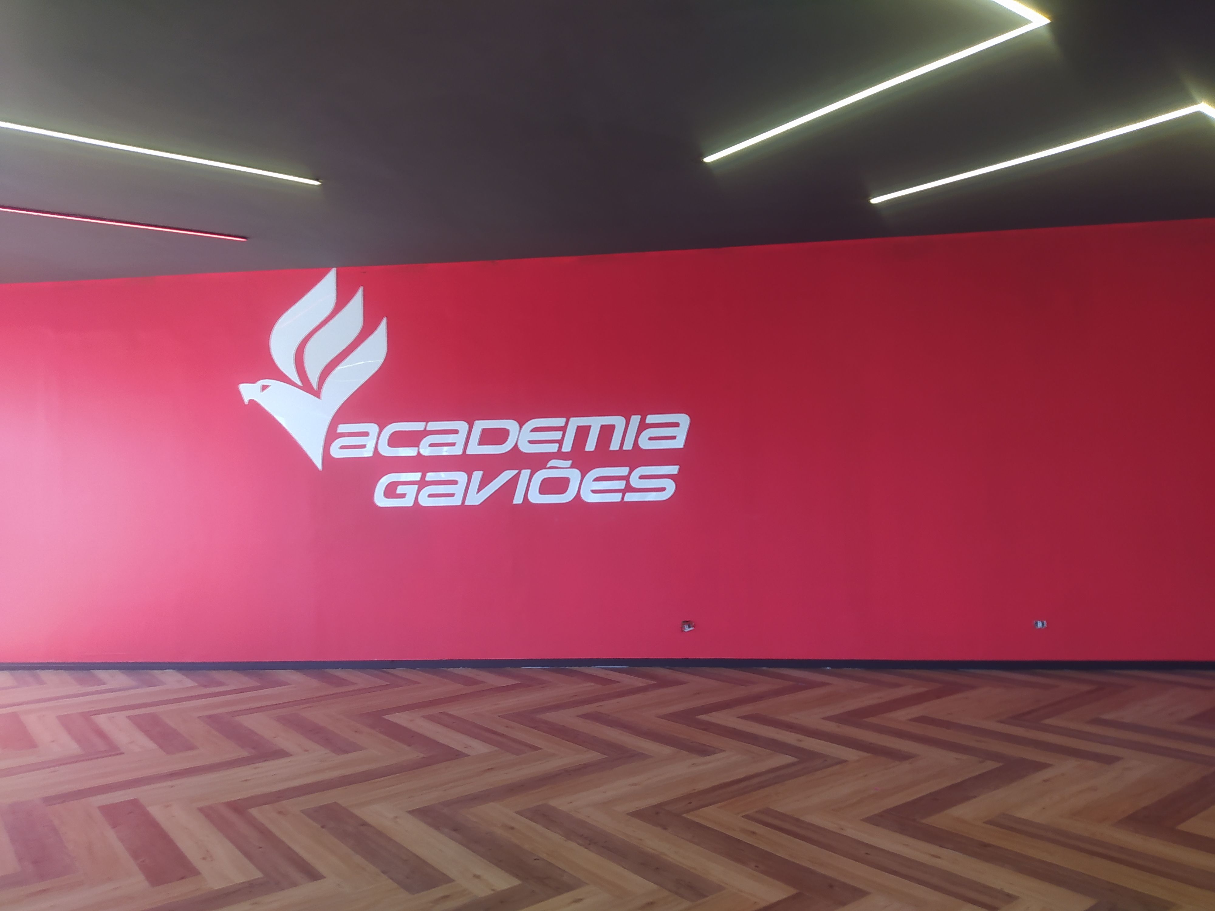 Pintura academia gaviões — foto 1