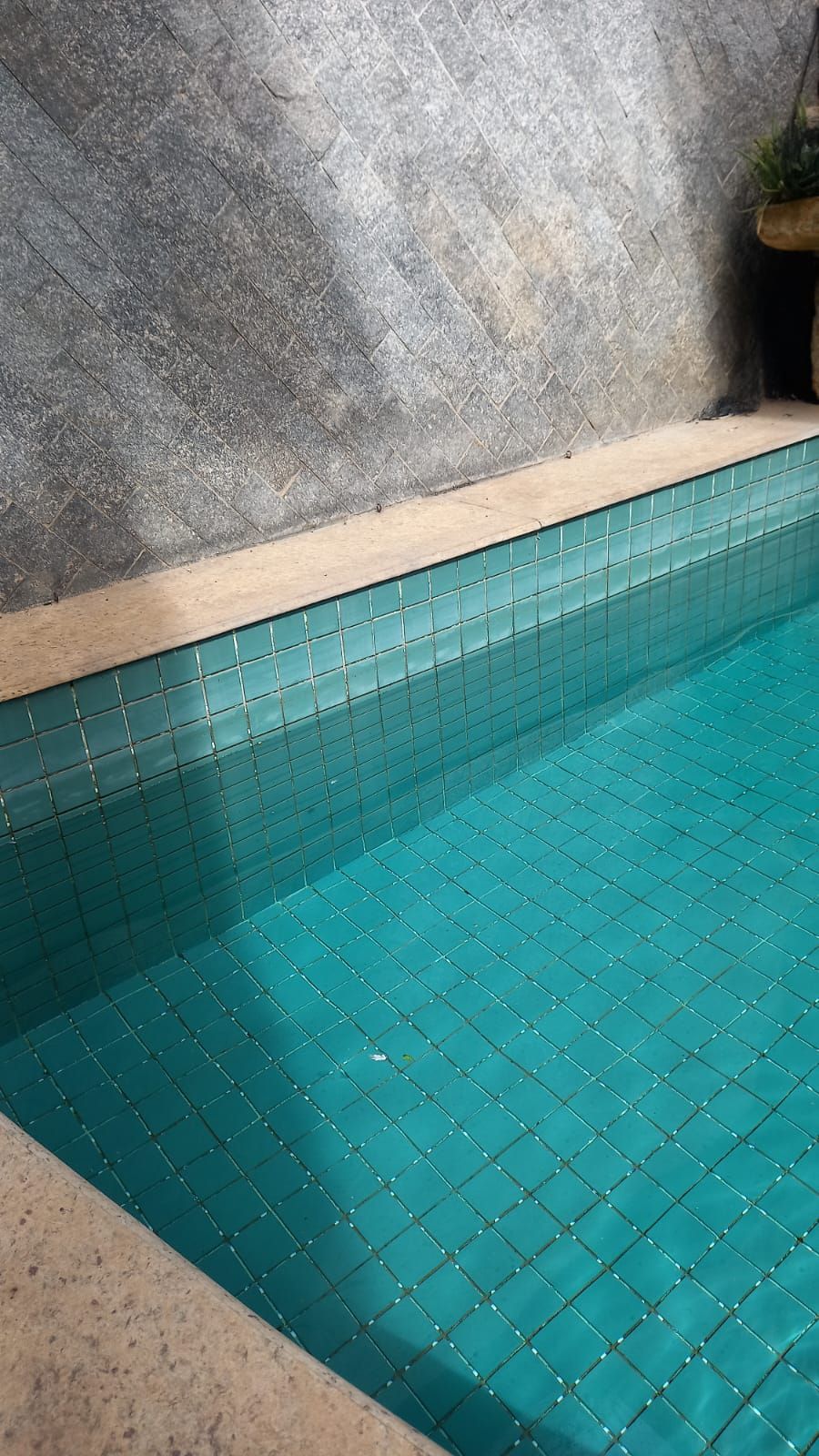 Limpeza de piscina — foto 3