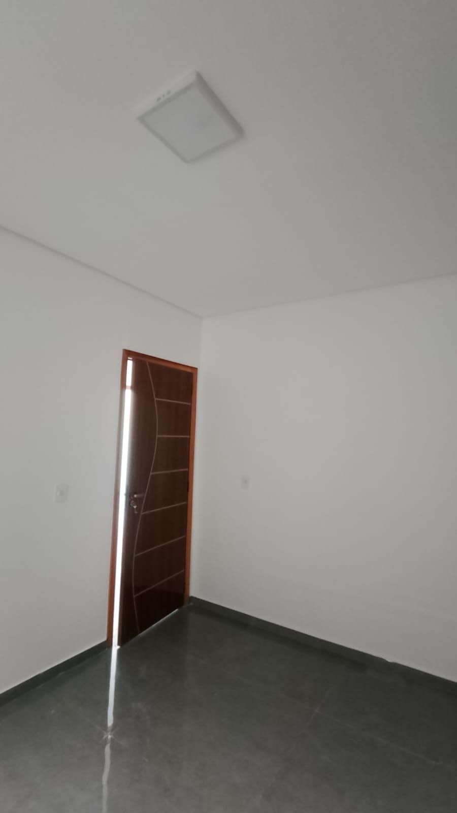 Pintura lisa — foto 2