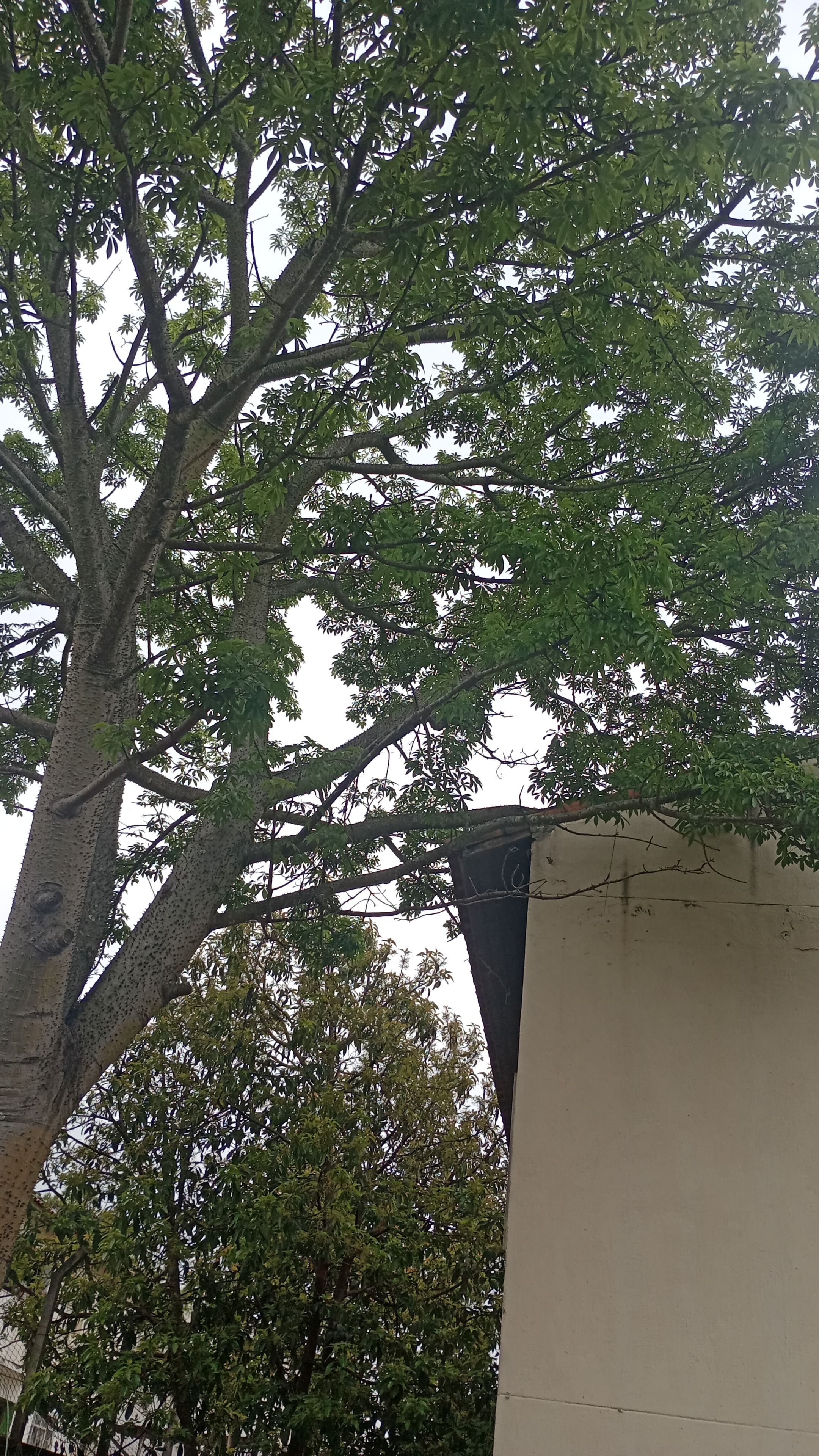 Obras gerais — foto 8