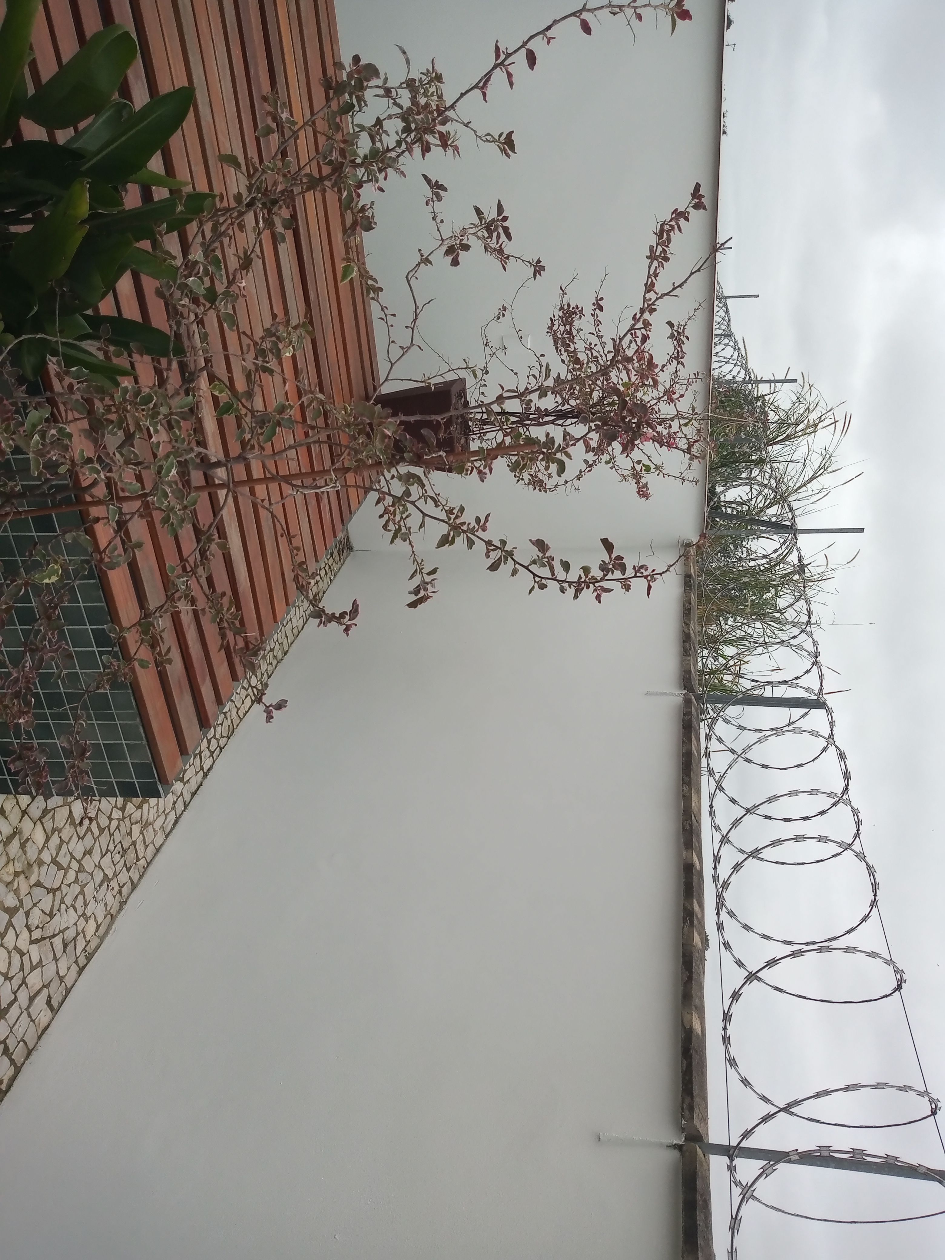 Meus serviços — foto 10
