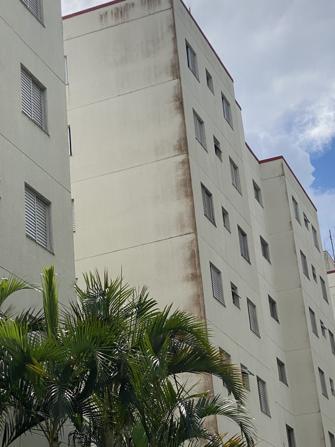 Recuperação de Paredes e Preparação para Pintura — foto 3